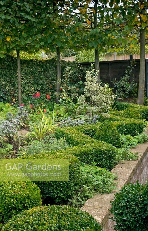 Topiary in country garden - Brook Hall Cottage