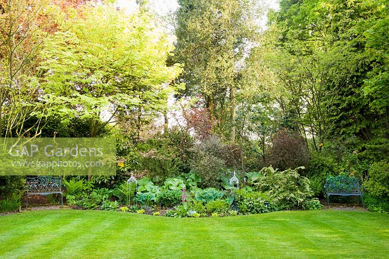 The far end of the formal lawn with herbaceous border flanked by trees with contrasting foliage, including copper beech, Abutilon, Acer plantenoids and davidia involucrata - The Ridges, Chorley
