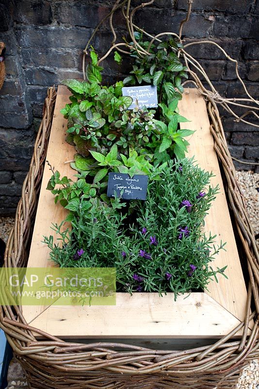 A medieval herber and odoriferous herbs - First Chelsea Fringe Festival, London 2012