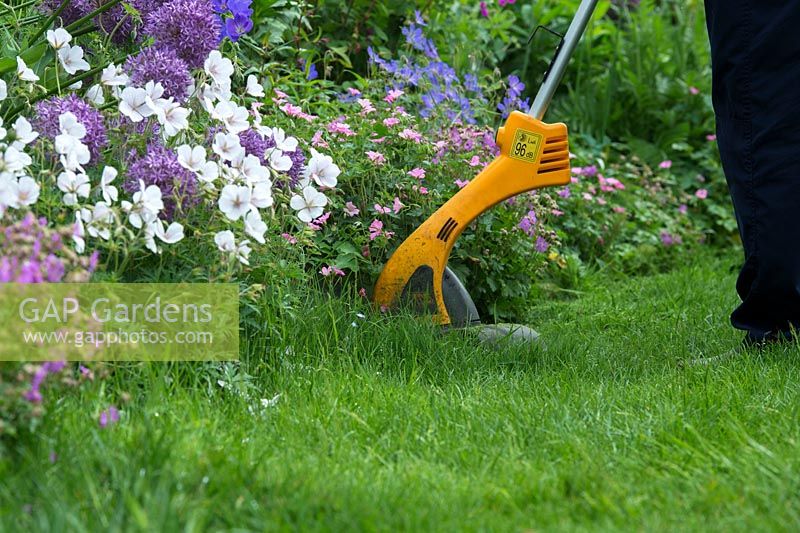 Gardener strimming long grass against a flower border 