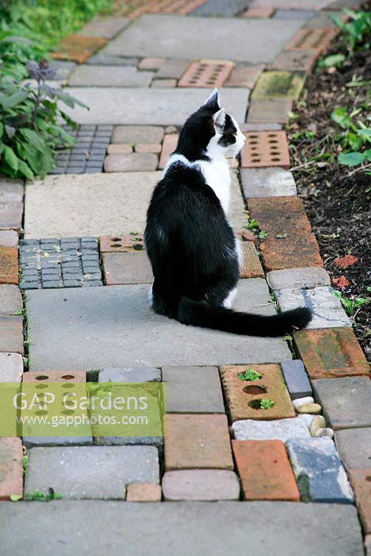 Cat sitting on cottage garden style path made from salvaged materials