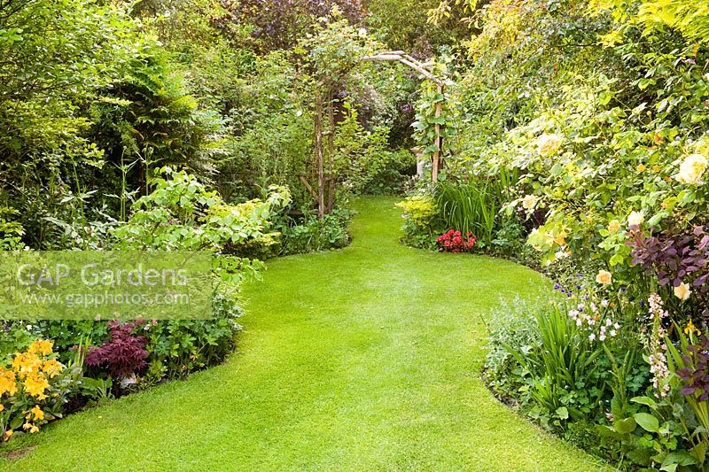 Tapered lawn leading to a wooden rose arch, mature herbaceous borders backed by trees in a suburban garden 