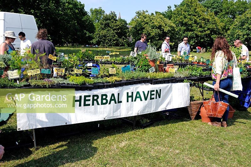 Herbal Haven, stall selling herbs at Camden, now London, Green Fair, Regent's Park, London, UK