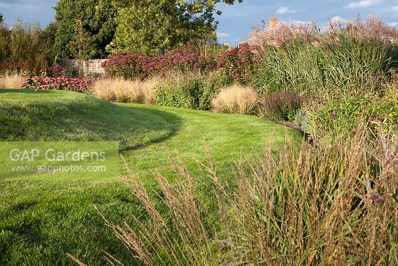 Landscaped grass mound and semi circular late summer border of Sedum, Miscanthus, Verbena, Scabiosa, Molina 'Transparent' and Deschampia