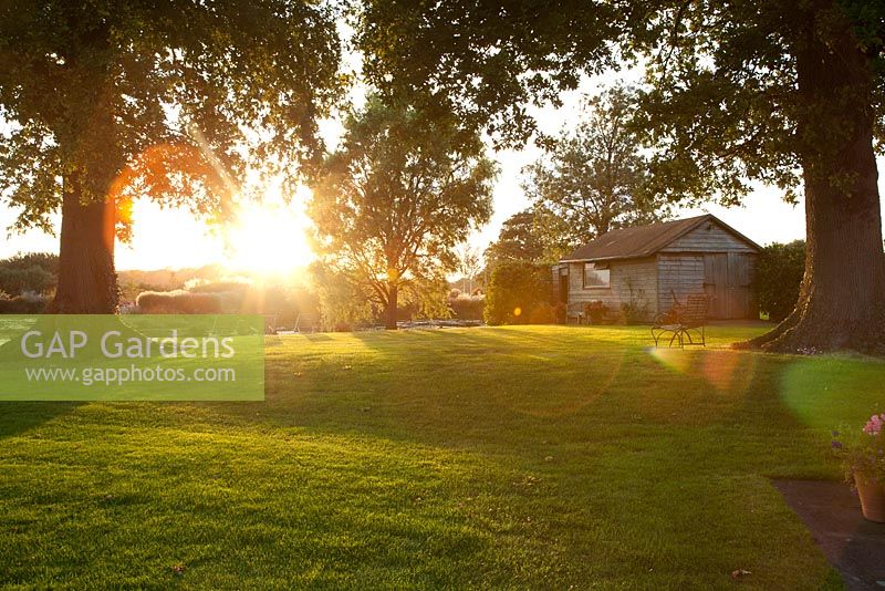 Lawn and garden shed in evening light