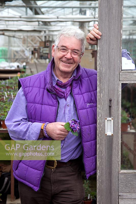 Clive Groves, holder of the national collection of Violas - Violets at Grove Nursery, Dorset