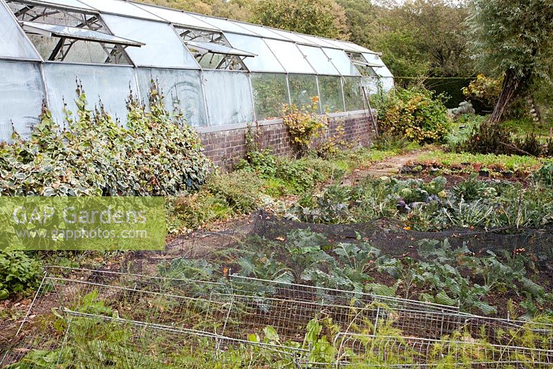 Long glasshouse near vegetable garden - Vann, Surrey