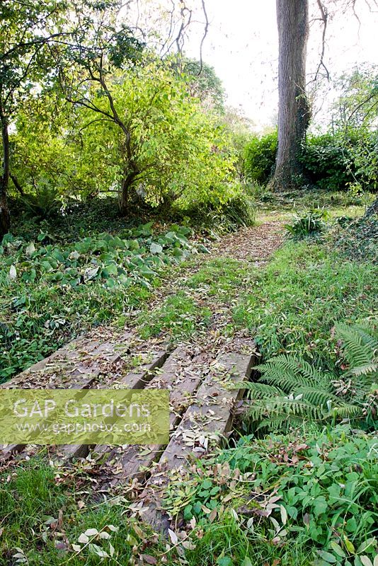 Plank walkway over stream, leading to rchard - Vann, Surrey