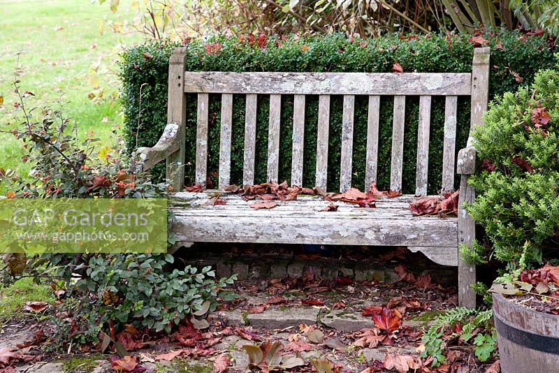 Wooden bench - Vann, Surrey