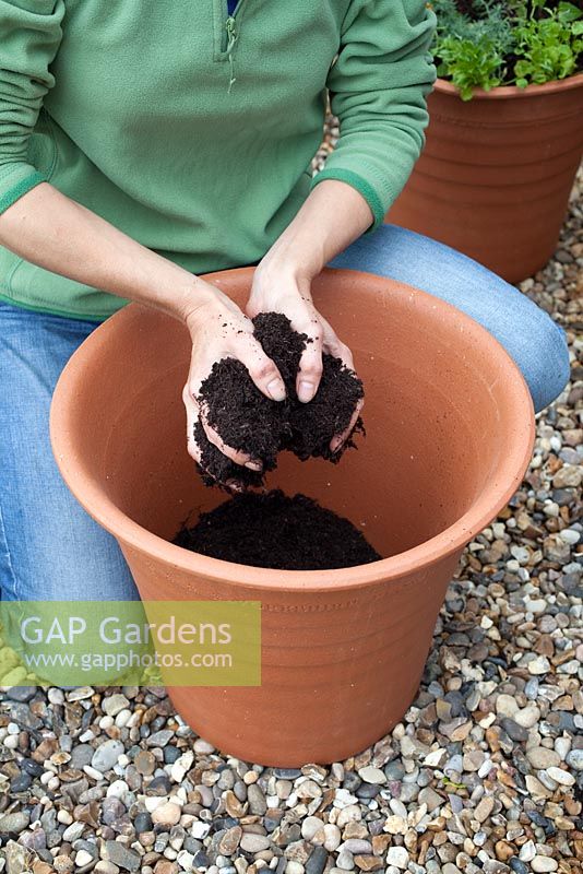 Step-by-step Planting an orange and blue themed container - putting soil in container 