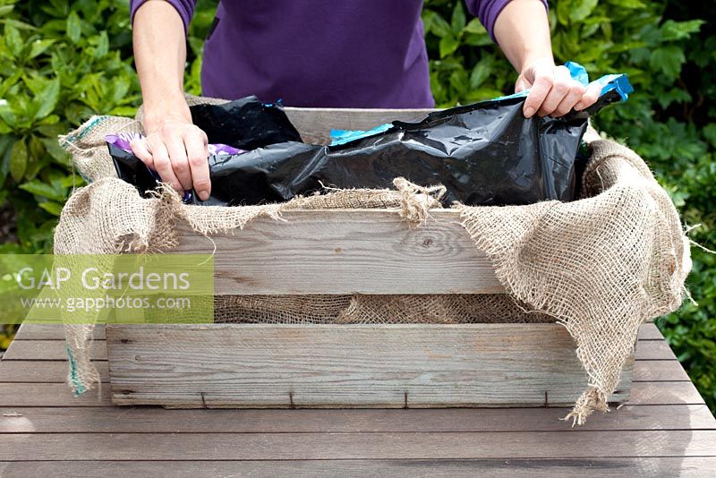 Step by step - Using a recycled wooden crate, hessian sack and liner to create a container to plant Tomatoes 'Sweet 'n' Neat' and 'Tumbling Tom Red'