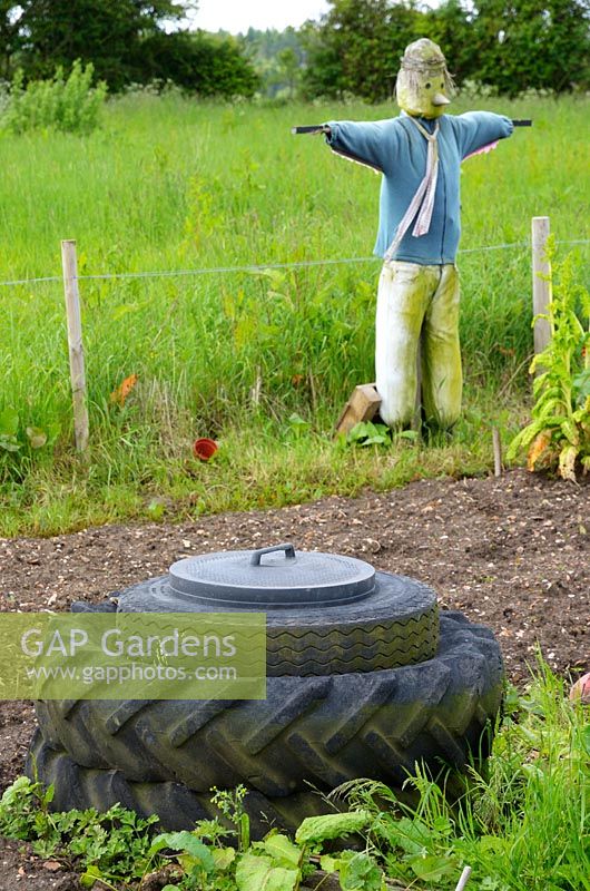 Allotment with scarecrow and compost bin made from old tyres, Norfolk, UK, June