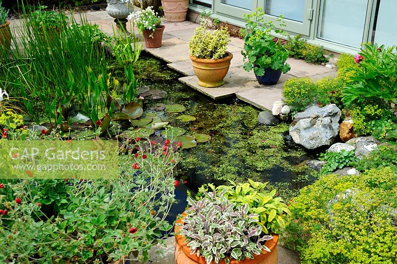 Large patio incorporating pond with water feature surrounding by container plants, Norfolk, UK, June