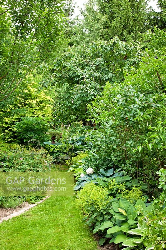 Bistro garden furniture next to borders with shrubs and perennials, Alchemilla mollis, Hosta and Paeonia