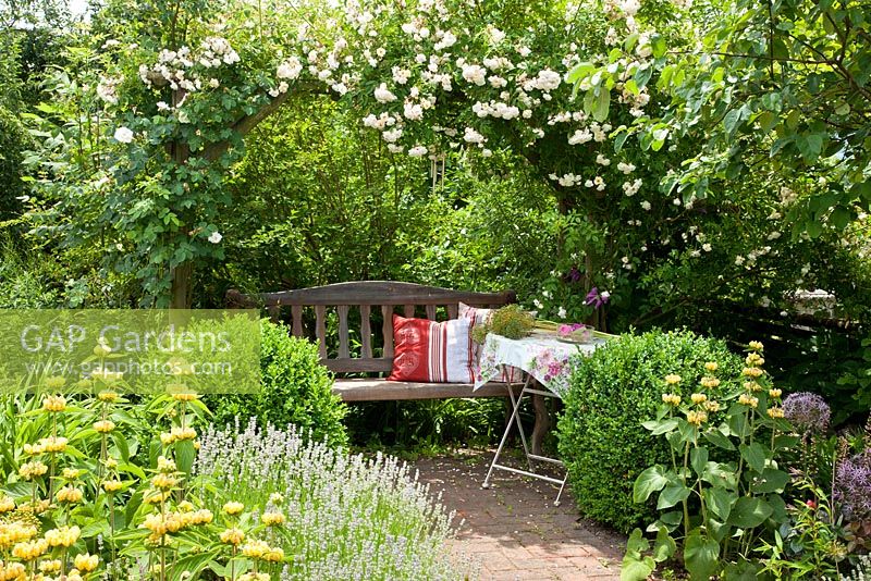 Wooden bench with cushions under a rose arch next to Rosa 'Lykkefund', Buxus and Phlomis russeliana