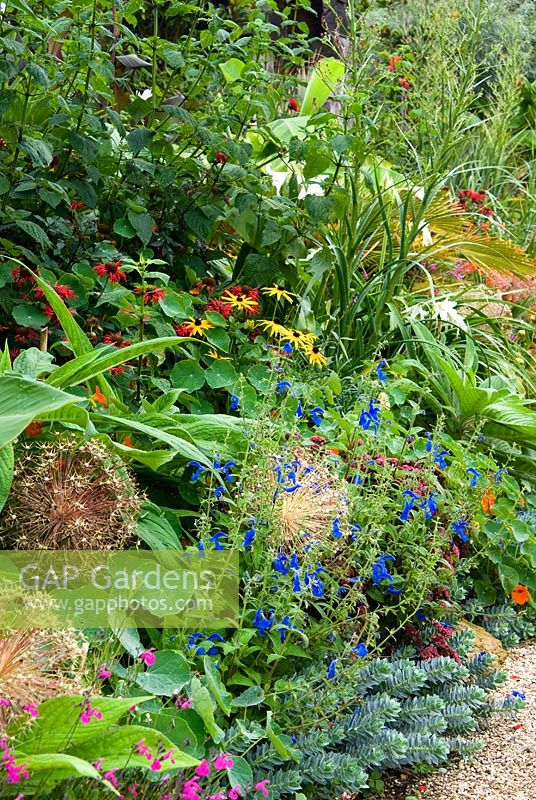 Border in the Collector Earl's Garden features a colourful mix of Euphorbia myrsinites, deep red sedum, nasturtiums, rudbeckias, white Crinum x powellii 'Album', red monardas and blue Salvia patens