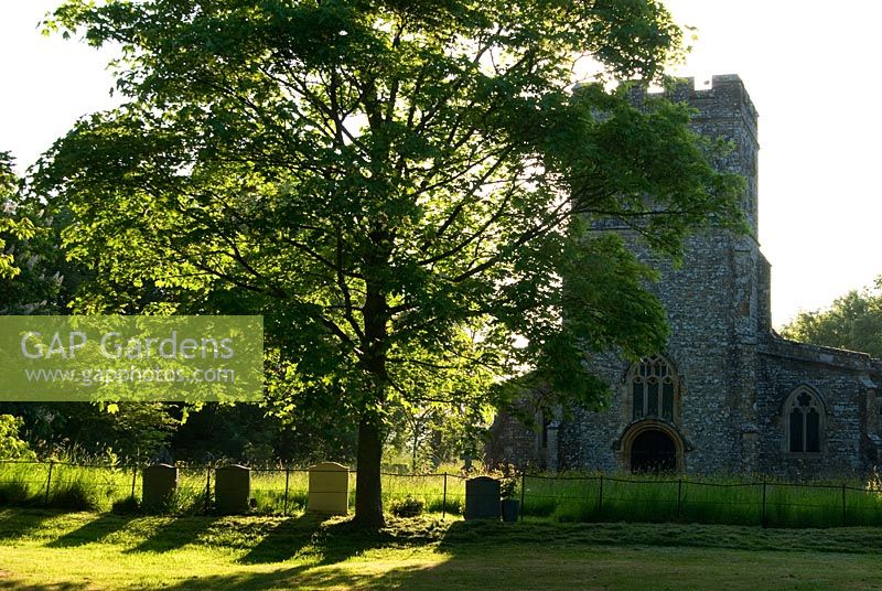 Church of St Thomas a Beckett sited just across the field from the Old Rectory, Pulham, Dorset, UK