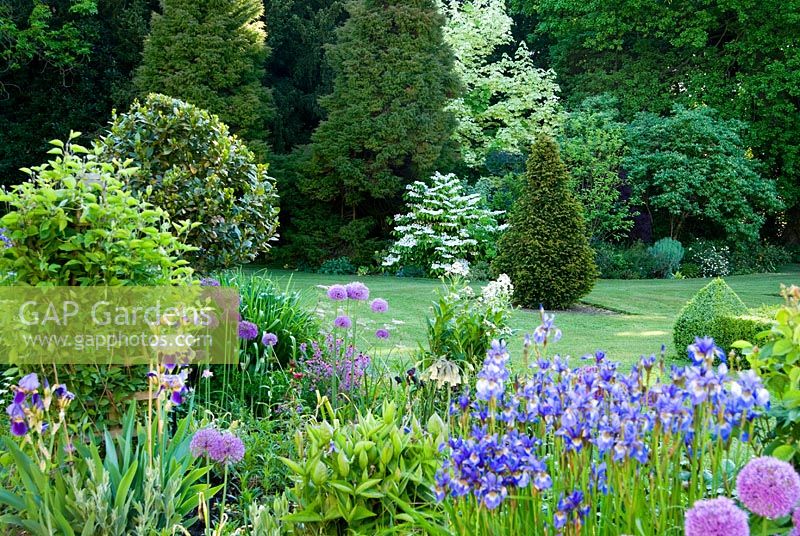Border of purples and whites runs along south side of the house with shrubbery beyond. Old Rectory, Pulham, Dorset, UK