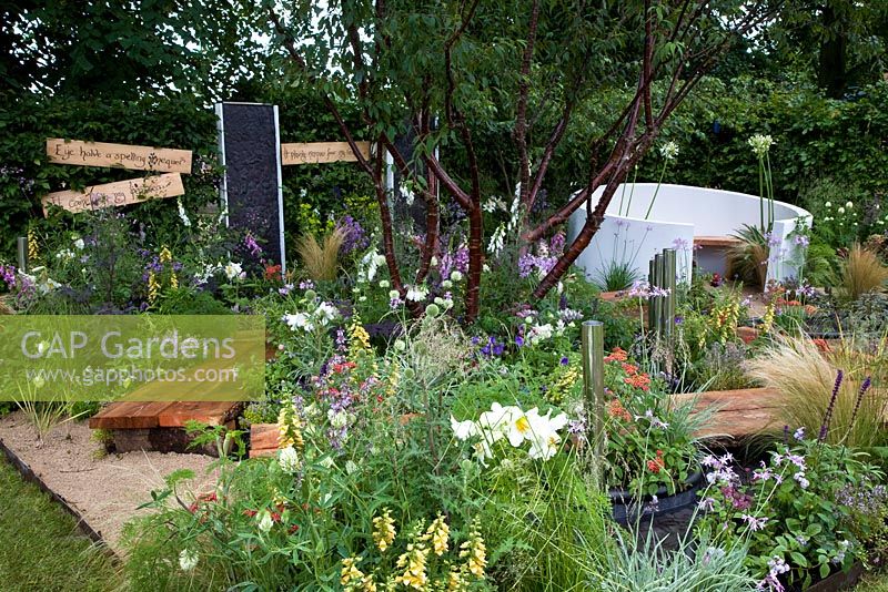 A garden examining dyslexia. The multi-stemmed tree represents the numerous routes that dyslexics take in life - 'This Is Me' - Bronze medal winner - RHS Hampton Court Flower Show 2012 