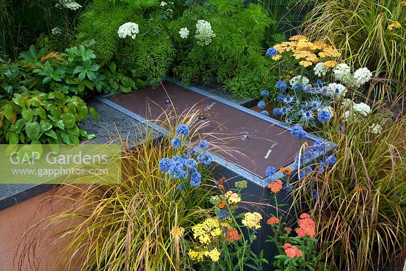 Eryngium, Achilleas and grasses - 'The Landform Garden' - Gold medal winner and Best Summer Garden - RHS Hampton Court Flower Show 2012 
