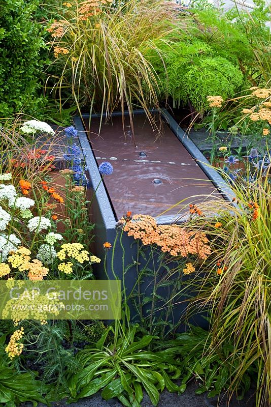 Water feature softened with planting of Eryngium, Achilleas and grasses - 'The Landform Garden' - Gold medal winner and Best Summer Garden - RHS Hampton Court Flower Show 2012 
