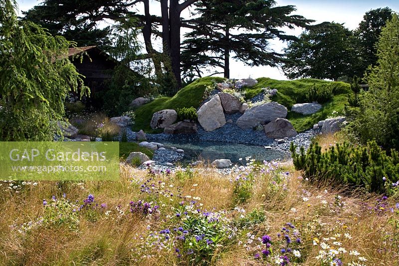 The Swiss Alpine Garden. Water and rocky outcrops evoke the Swiss alpine landscape with plants that thrive in meadow and scree.