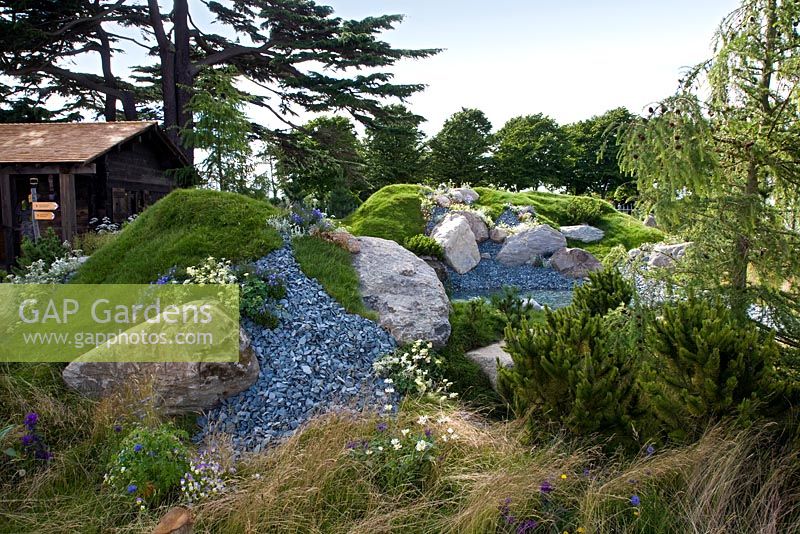 Water and rocky outcrops evoke the Swiss alpine landscape with plants that thrive in meadow and scree - The Swiss Alpine Garden - RHS Hampton Court Flower Show 2012  