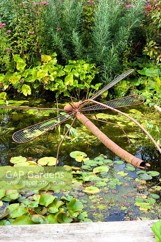 Rusty metal dragonfly sculpture - Brook Hall Cottages, Essex NGS
 