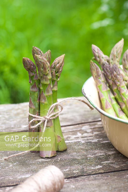 Freshly picked asparagus in enamel bowl