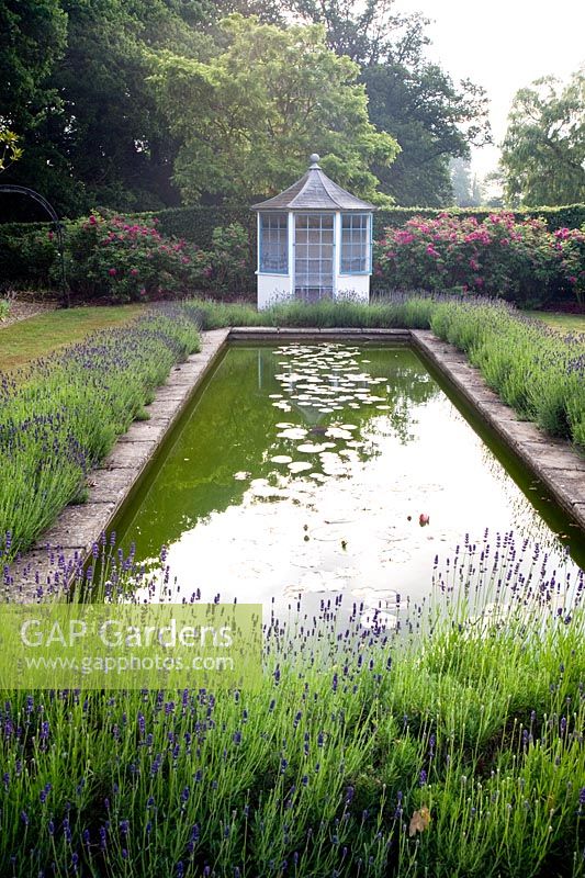Blue and white summerhouse and formal lily pond edged with lavender