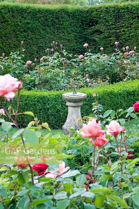 Formal rose garden with sundial