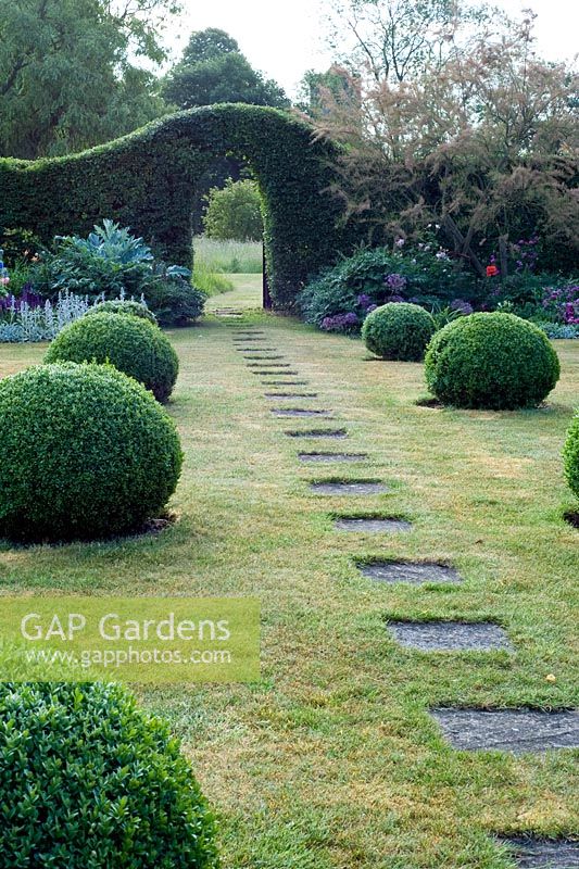 Slab path with box balls leading across lawn to yew arch in hedge