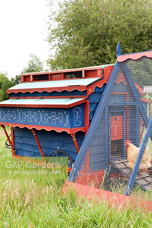 Chickens in painted 'gypsy caravan' style chicken house and run