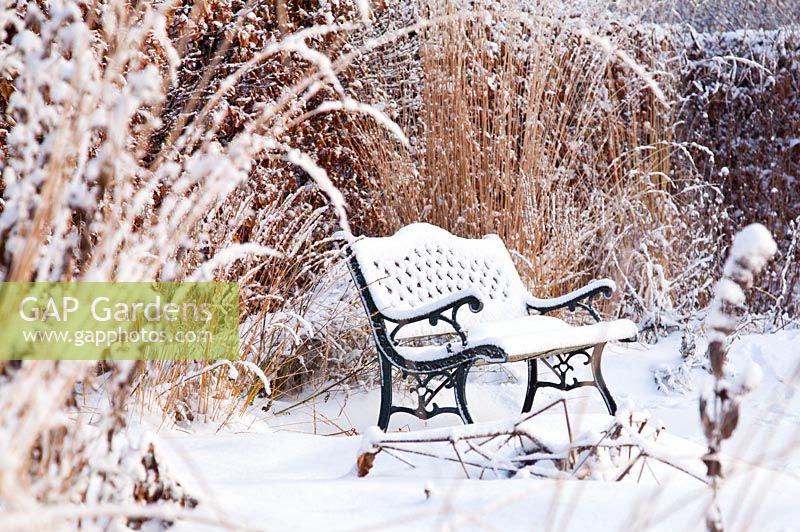 Winter garden covered with snow - Garden bench and grass border