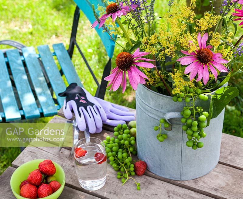 On a wooden table a vase with coneflower, Ladys Mantle and grapes. Also on the table is gardening gloves, hand fork, a bowl of strawberries and a glass of water. In the background a colourful turquoise garden chair.
