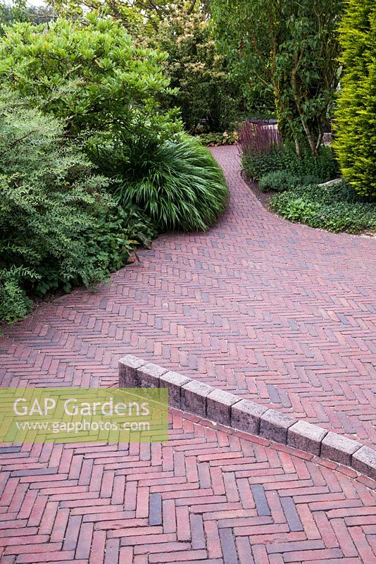 Brick path and group of deciduous shrubs