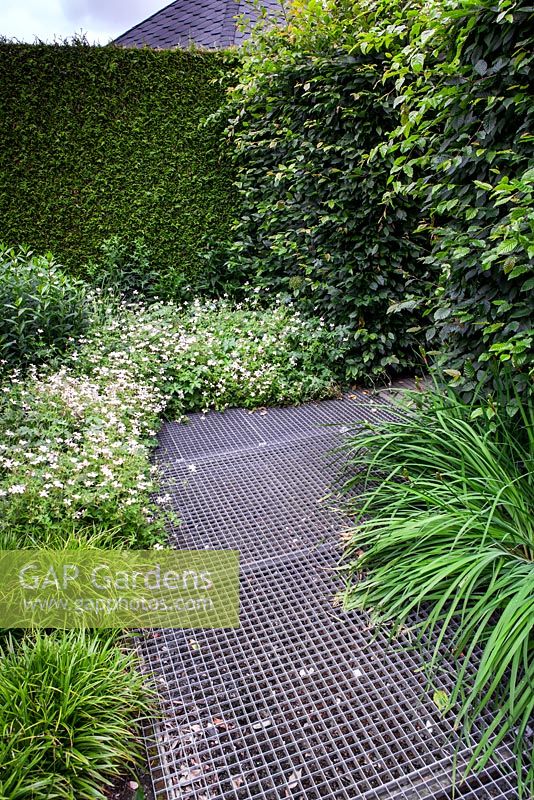 Lattice path surrounded by Carpinus hedge and Geranium in mixed border