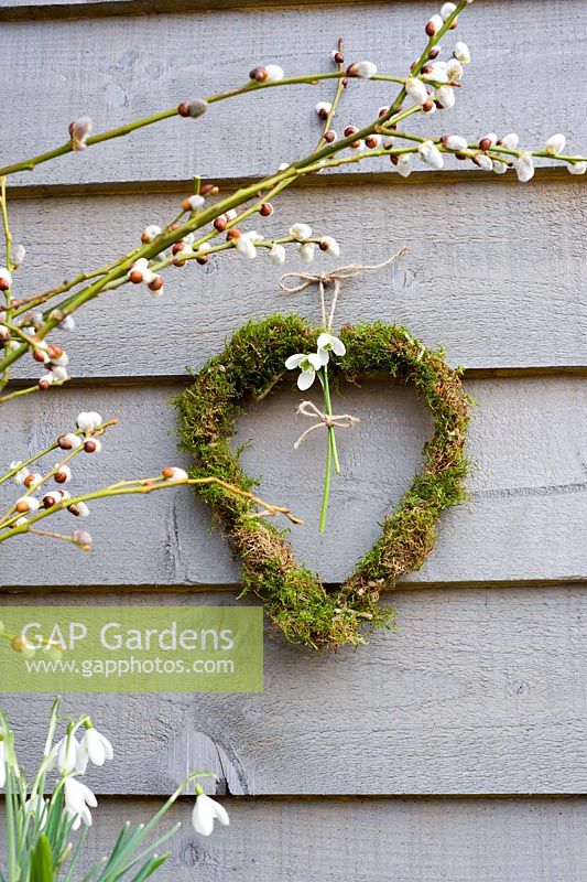 Simple moss heart wreath with Galanthus nivalis - Snowdrops