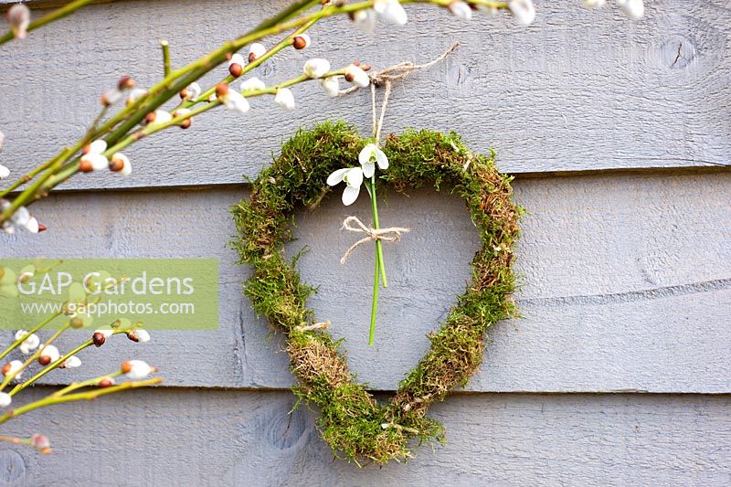 Simple moss heart wreath with Galanthus nivalis - Snowdrops