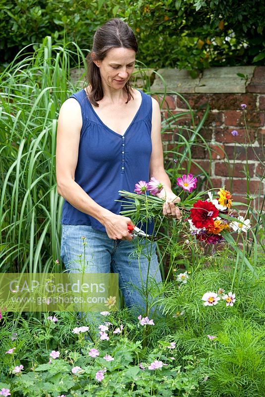 Step by step - Cutting summer flowers for arrangement