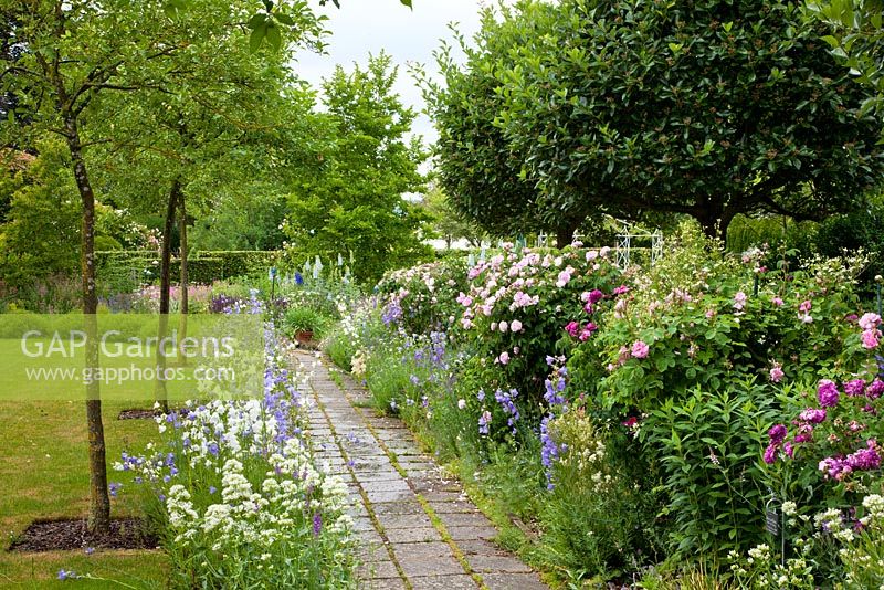 Paved path lined with freely flowering perennials, a rose hedge and standards - Rosa 'Charles de Mills', Rosa gallica 'Duchesse de Montebello', Campanula persicifolia, Centranthus coccineus 'Albus', Crataegus and Euonymus - Germany