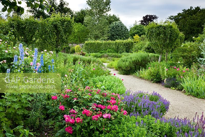The Walled Garden with flowering plants, Highgrove Garden, June 2008.
