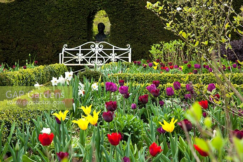 Spring tulips, Sundial Garden, Highgrove, April 2010. Originally designed by Lady Salisbury as a Rose Garden
