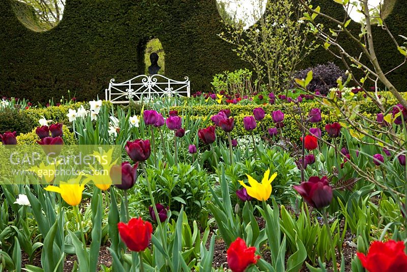 Spring Tulips, Sundial Garden, Highgrove, April 2010. Originally designed by Lady Salisbury as a Rose Garden