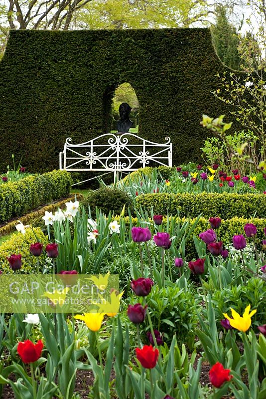 Spring Tulips, Sundial Garden, Highgrove, April 2010. Originally designed by Lady Salisbury as a Rose Garden 