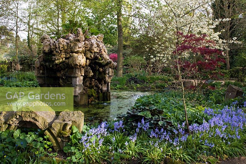 Bluebells near the water feature, in the Stumpery, Highgrove Garden, April 2010. The water feature is made of redundant stone mixed with holey limestone. 
