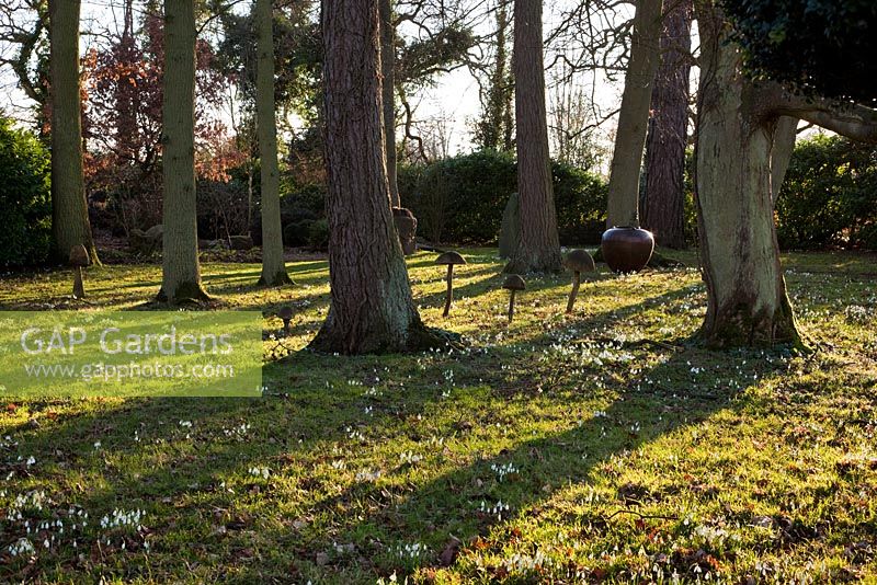 Wooden toadstool sculpture and snow drops in the Stumpery, Highgrove Garden, February 2011.