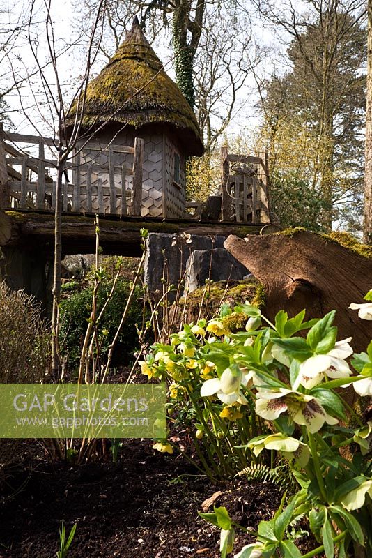 The thatch tree house 'Hollyrood House' in the The Stumpery, Highgrove Garden, March 2011. The Stumpery is based on a Victorian concept for growing ferns amongst tree stumps.  
