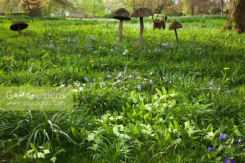Wooden toadstool sculpture and spring flowers in the Stumpery, Highgrove Garden, April 2011
