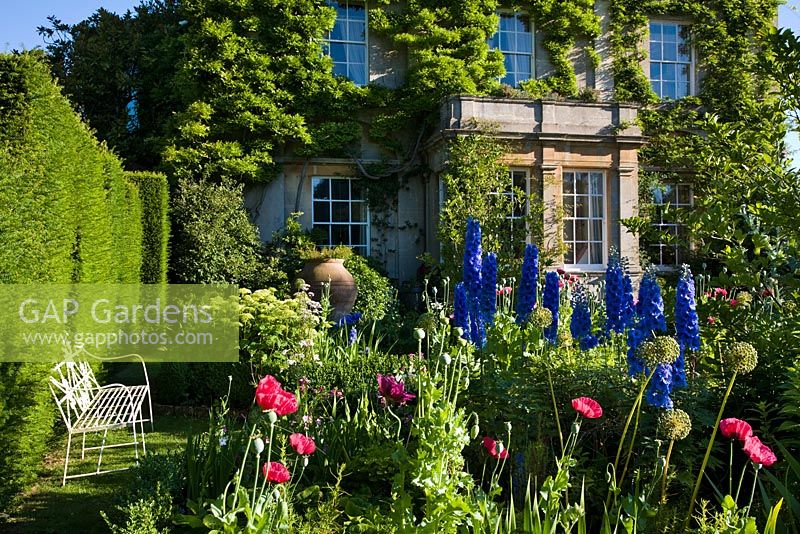 The Sundial Garden with poppies, Papaver somniferum and Highgrove House, June 2011.